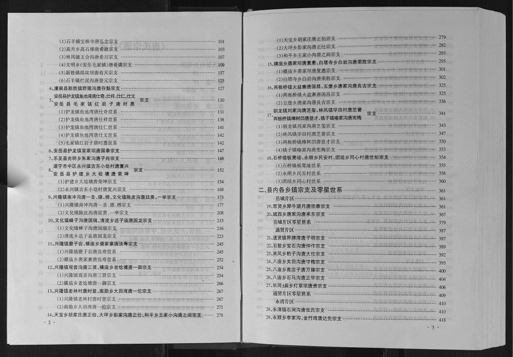 图片[4]-‌四川资阳安岳唐氏宗谱电子版PDF下载-中华家谱网