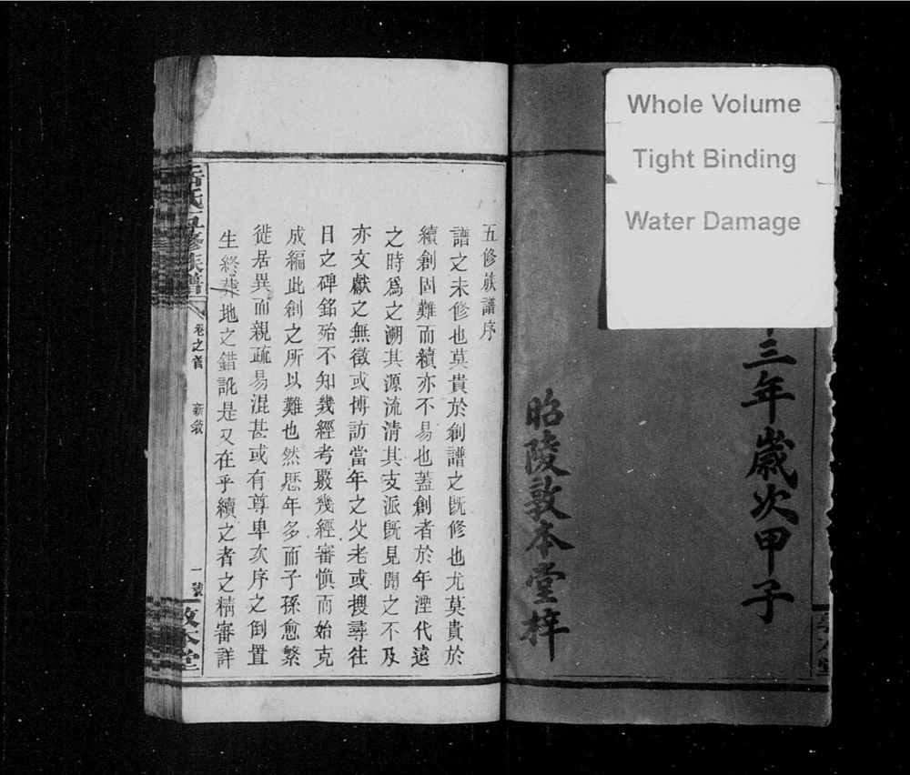 图片[2]-湖南邵阳岳氏五修族谱（敦本堂）电子版PDF下载-中华家谱网