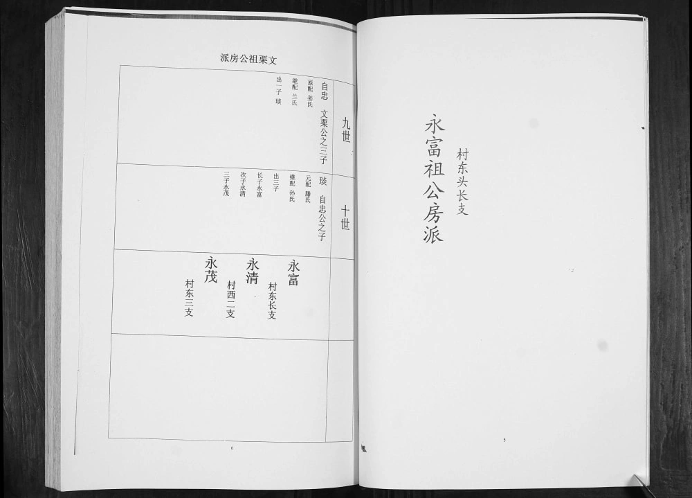 图片[6]-山东青岛即墨河南村王氏族谱电子版PDF下载-中华家谱网