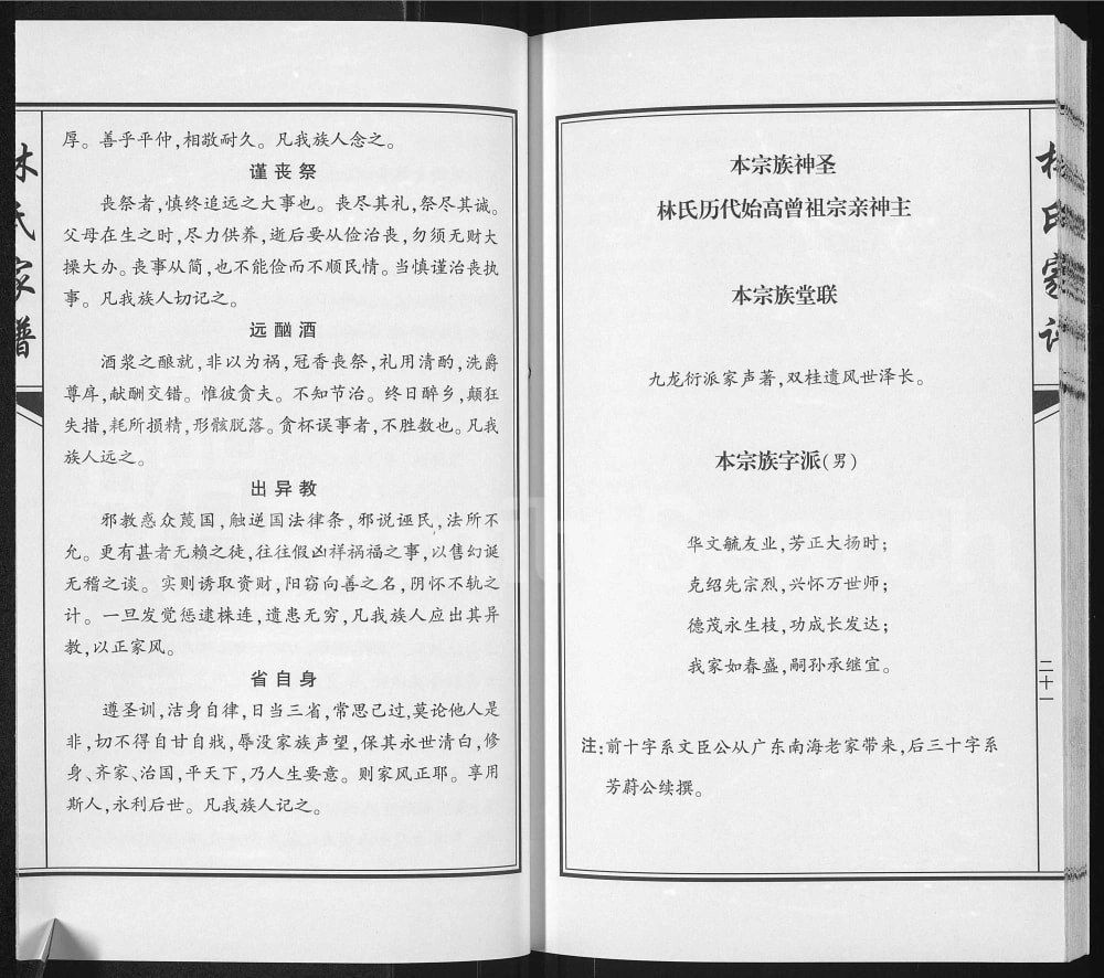图片[3]-广西靖西荣劳街林氏家谱（双桂堂）电子版PDF下载-中华家谱网