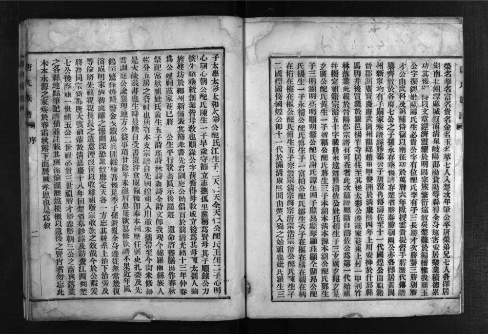 图片[3]-四川德阳罗江区唐氏族谱电子版PDF下载-中华家谱网