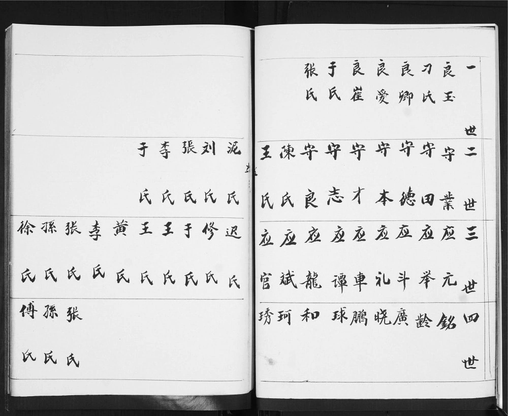 图片[5]-山东青岛即墨大桥村胡氏支谱电子版PDF下载-中华家谱网