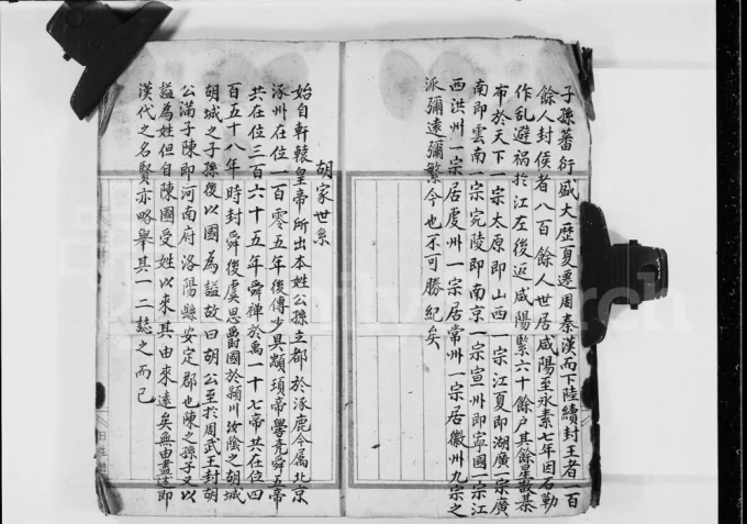 广西桂林胡氏族谱电子版PDF下载-中华家谱网