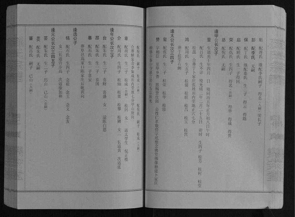 图片[7]-江苏盐城建湖县孙氏宗谱高作支谱（乐安堂）电子版PDF下载-中华家谱网