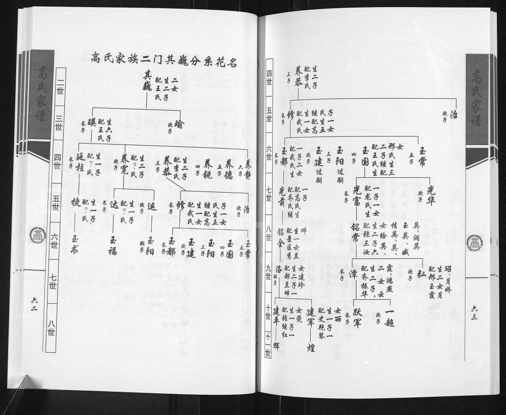 图片[6]-山西吕梁中阳县下枣林村高氏家谱电子版PDF下载-中华家谱网