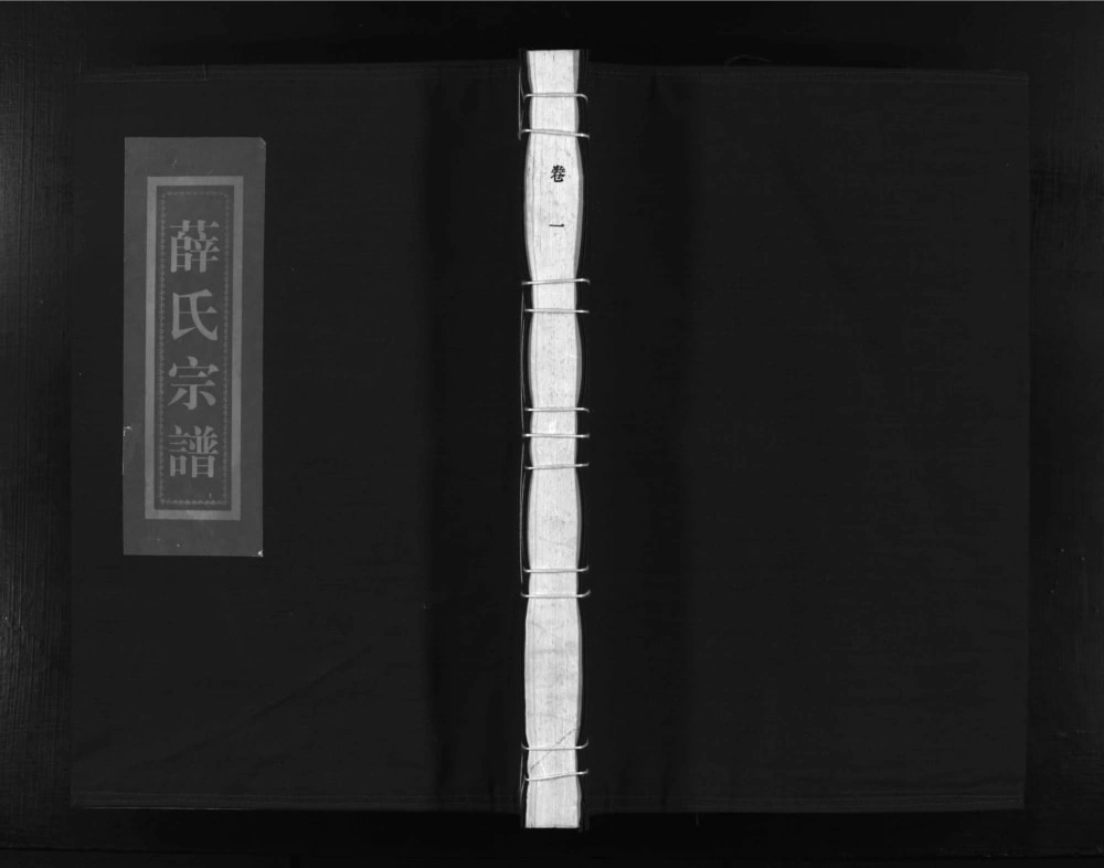 图片[1]-浙江乐清河东薛氏宗谱电子版PDF下载-中华家谱网