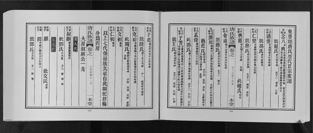 图片[3]-广西桂林灌阳县东鲁郡昭仪唐氏宗谱（一本堂）电子版PDF下载-中华家谱网