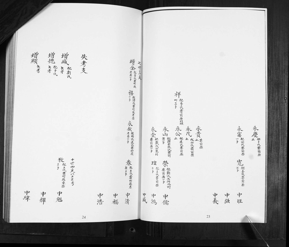 图片[6]-山东青岛即墨林氏族谱提纲宗派图电子版PDF下载-中华家谱网