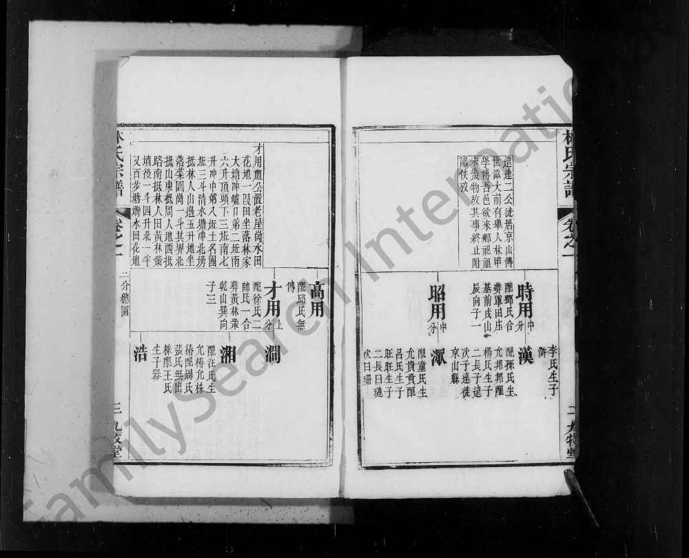 图片[3]-湖北麻城林氏宗谱（九牧堂）电子版PDF下载-中华家谱网