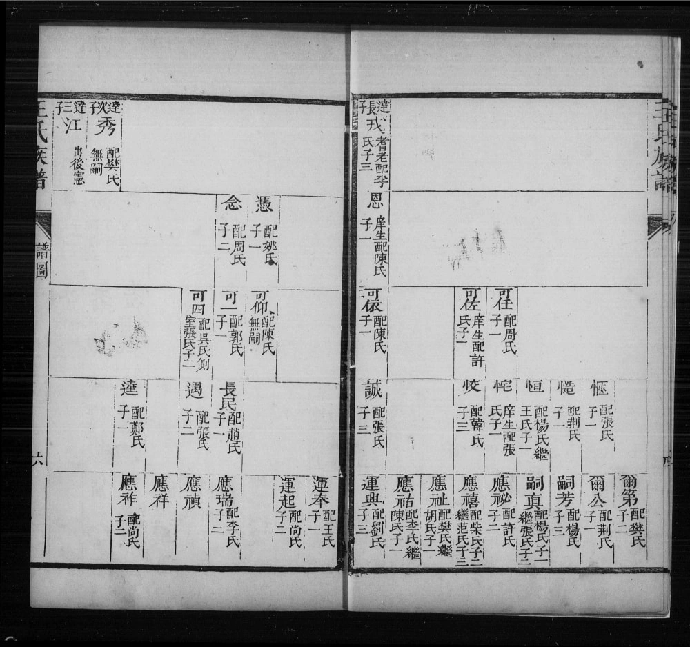 图片[8]-山西运城临猗县王氏族谱电子版PDF下载-中华家谱网