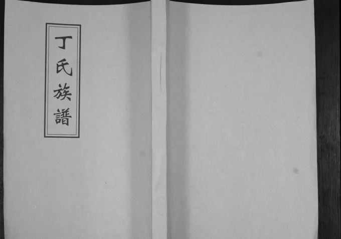 山东青岛即墨区丁氏族谱电子版PDF下载-中华家谱网