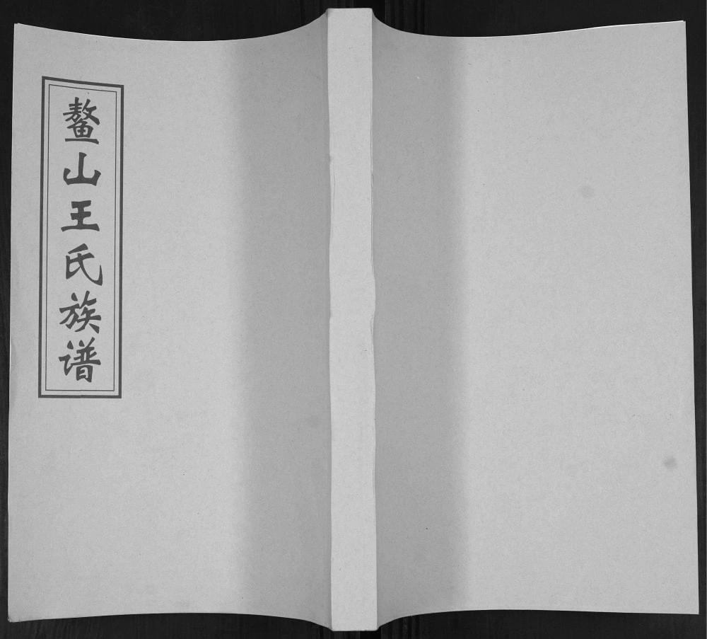 图片[1]-山东青岛即墨大信镇南王家庄鳌山王氏族谱电子版PDF下载-中华家谱网