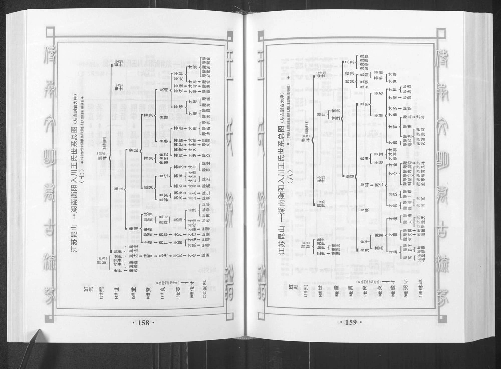 图片[7]-四川南充仪陇县王氏族谱湖南徙川王氏良才公良益公后裔篇电子版PDF下载-中华家谱网
