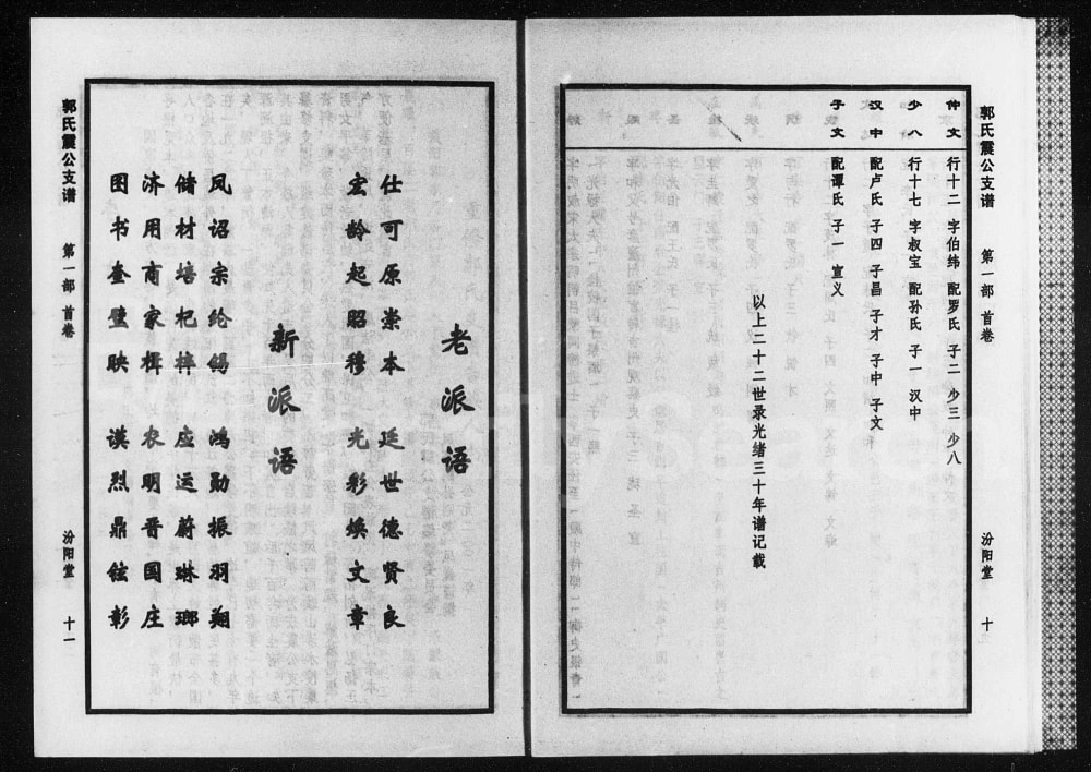 图片[1]-湖南益阳桃江县郭氏震公支谱（汾阳堂）电子版PDF下载-中华家谱网