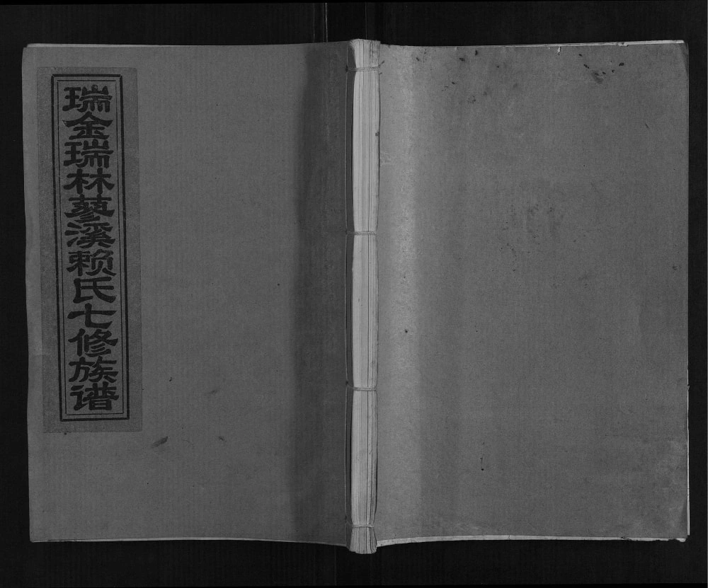 图片[1]-江西瑞金瑞林蓼溪赖氏七修族谱电子版PDF下载-中华家谱网