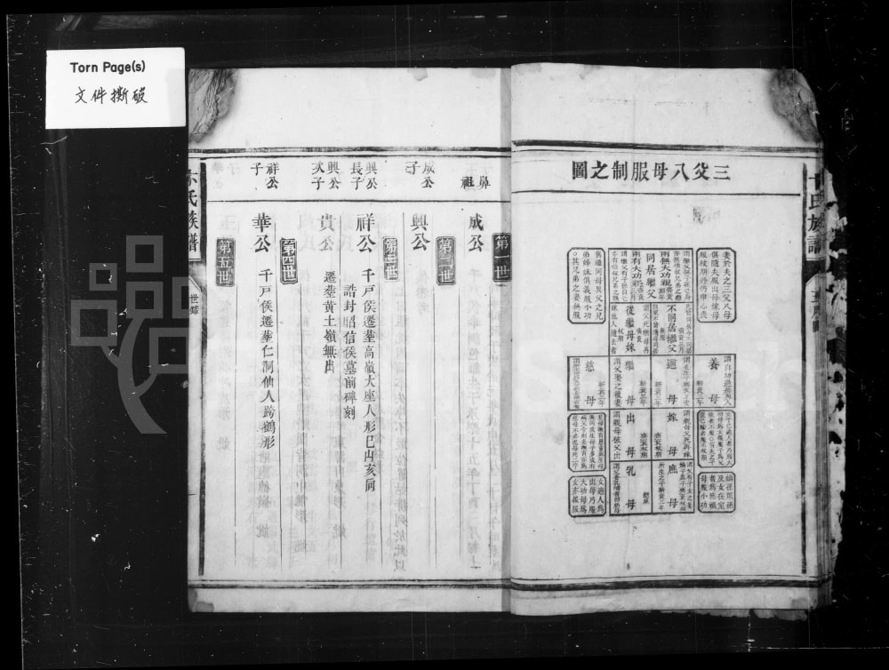 图片[5]-湖南郴州宜章县卞氏族谱电子版PDF下载-中华家谱网