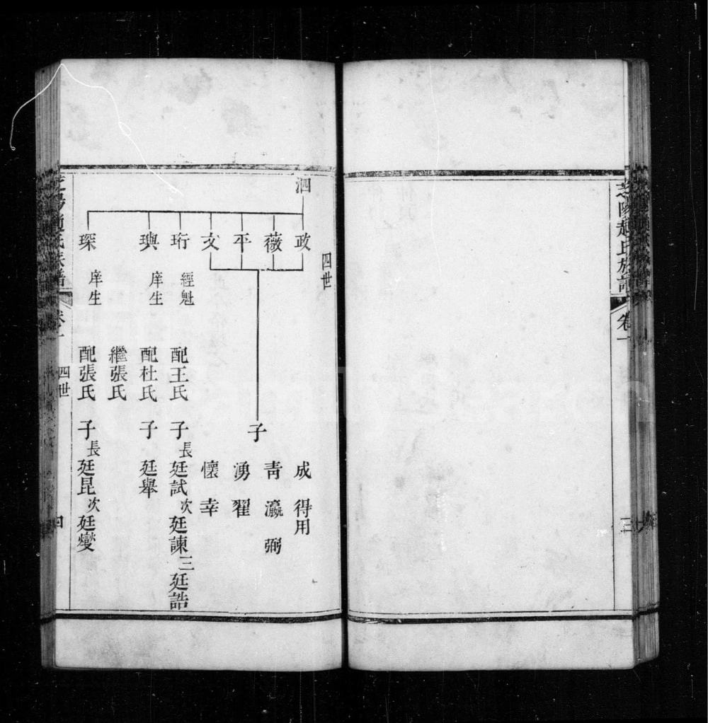 图片[7]-山东龙口芝阳赵氏族谱电子版PDF下载-中华家谱网