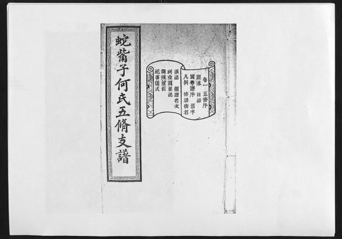 湖南长沙蛇嘴子何氏五修支谱(敦睦堂)电子版PDF下载-中华家谱网