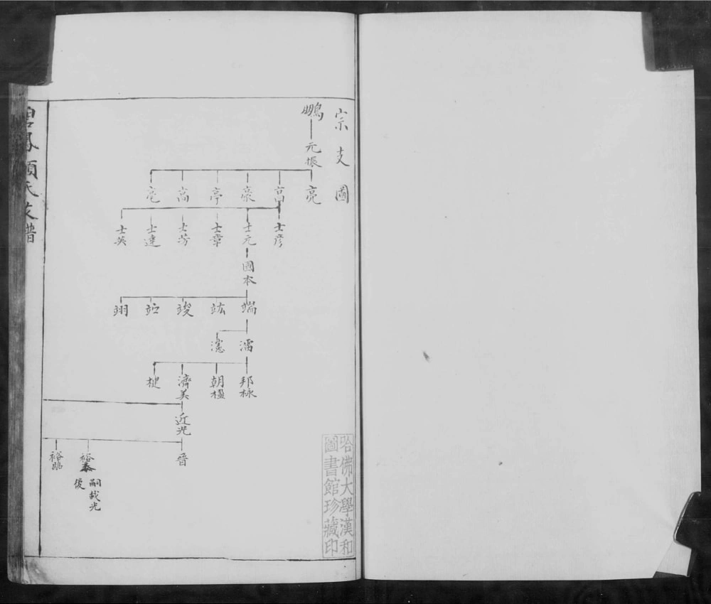 图片[3]-江苏苏州碧凤顾氏支谱电子版PDF下载-中华家谱网