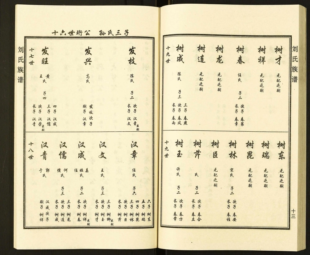 图片[8]-河北沧州东光县霞口镇魏庄村刘氏族谱电子版PDF下载-中华家谱网