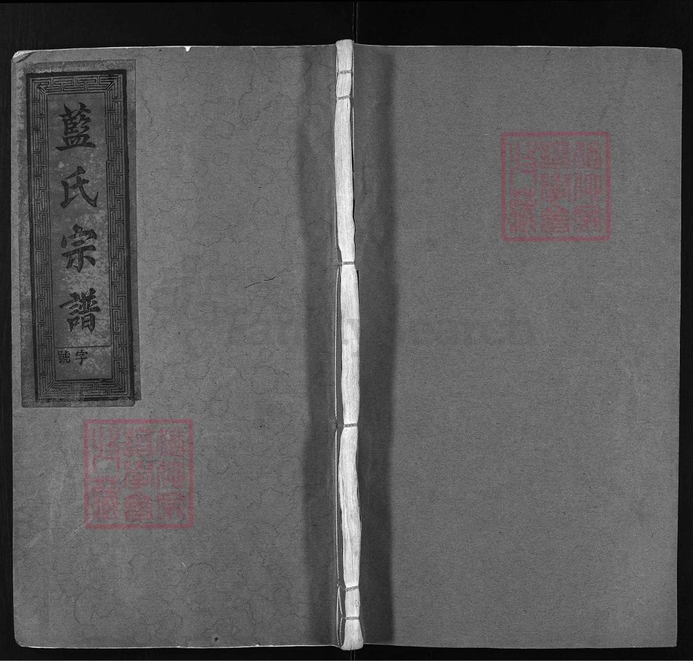 图片[1]-浙江丽水蓝氏宗谱（树德堂、种玉堂）电子版PDF下载-中华家谱网