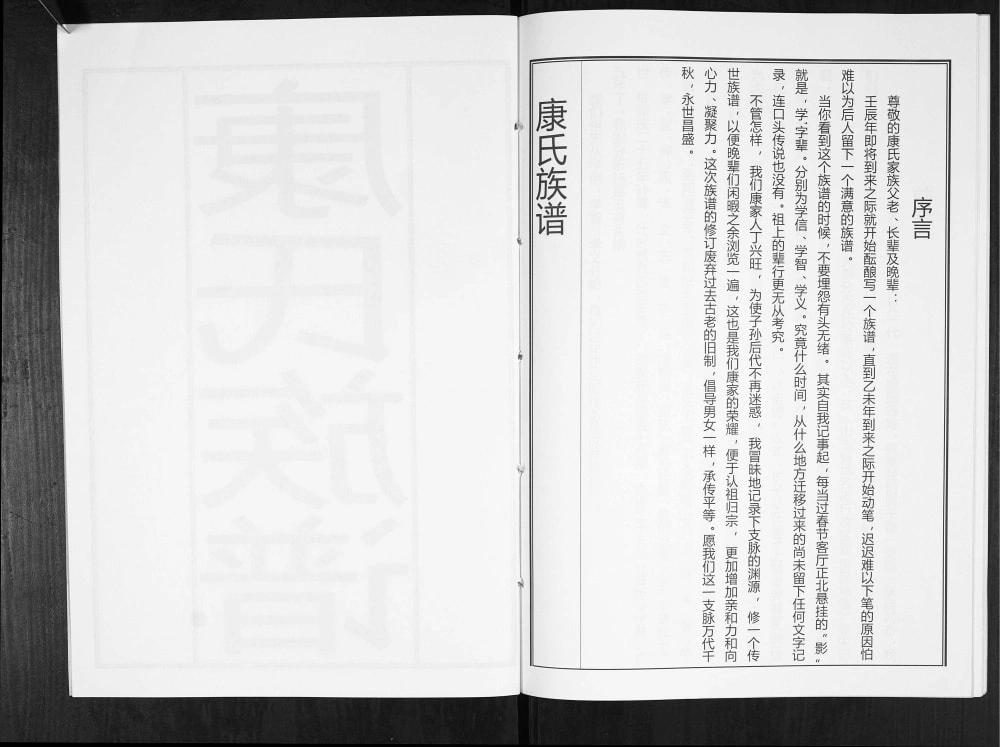图片[3]-山东青岛康氏族谱电子版PDF下载-中华家谱网