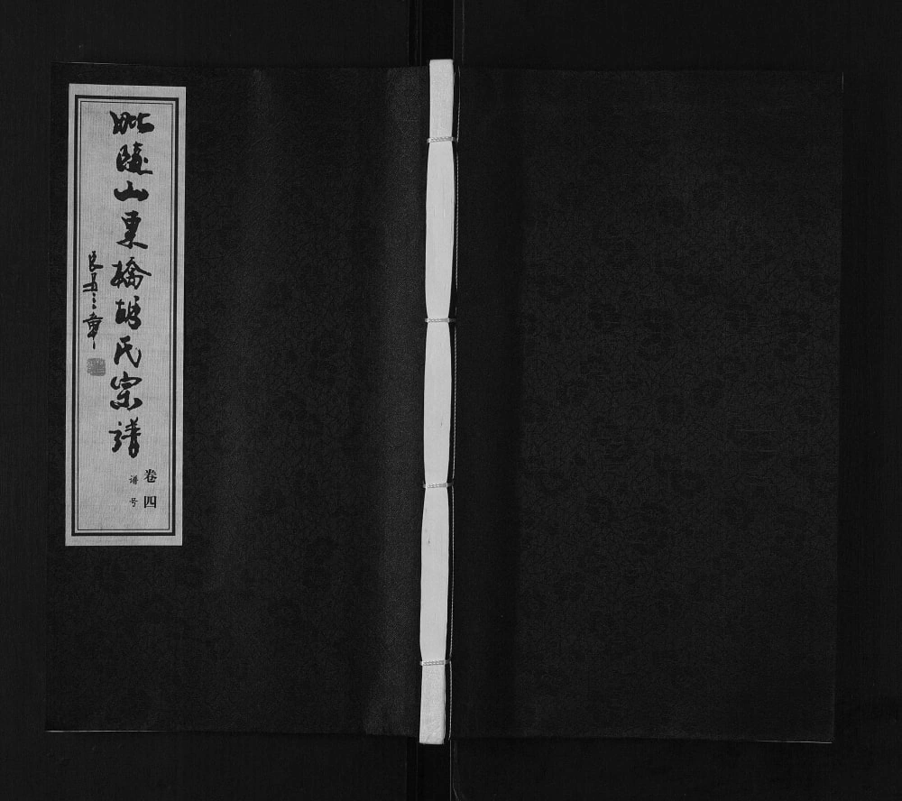 图片[1]-江苏常州毗陵山东桥胡氏宗谱（大雅堂）电子版PDF下载-中华家谱网