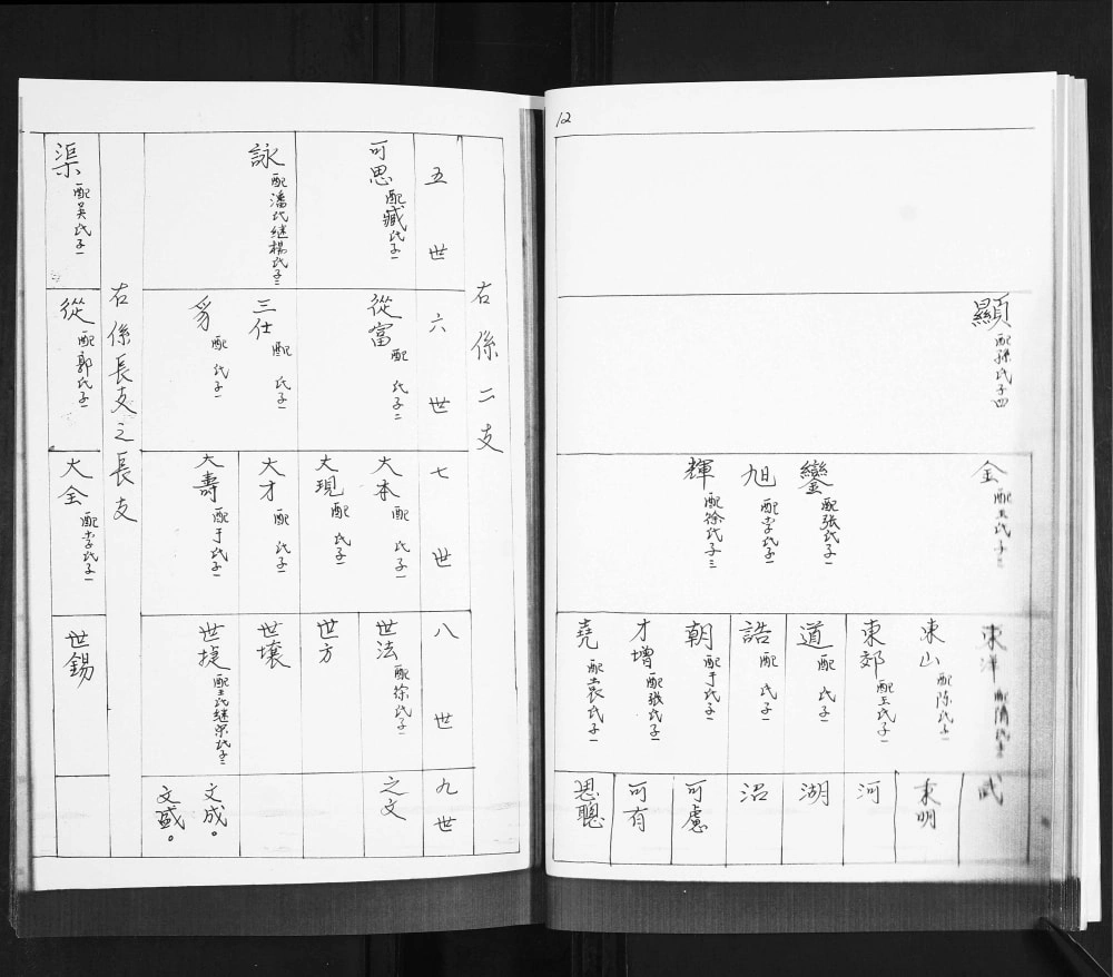图片[6]-山东青岛即墨区丁氏族谱电子版PDF下载-中华家谱网