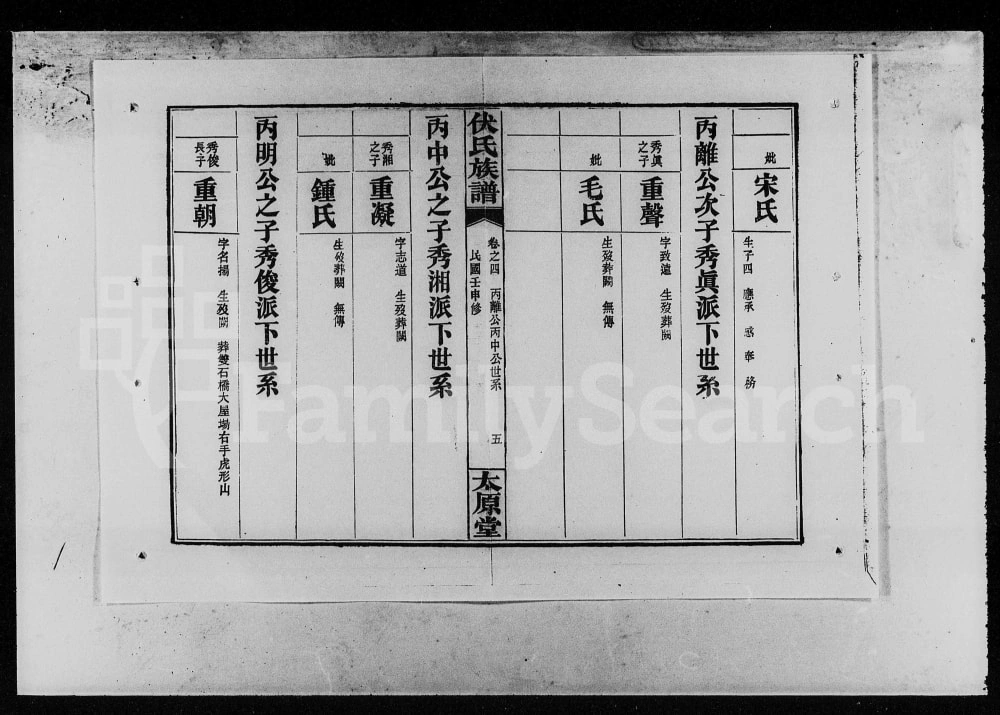 图片[6]-湖南汨罗伏氏族谱（太原堂）电子版PDF下载-中华家谱网