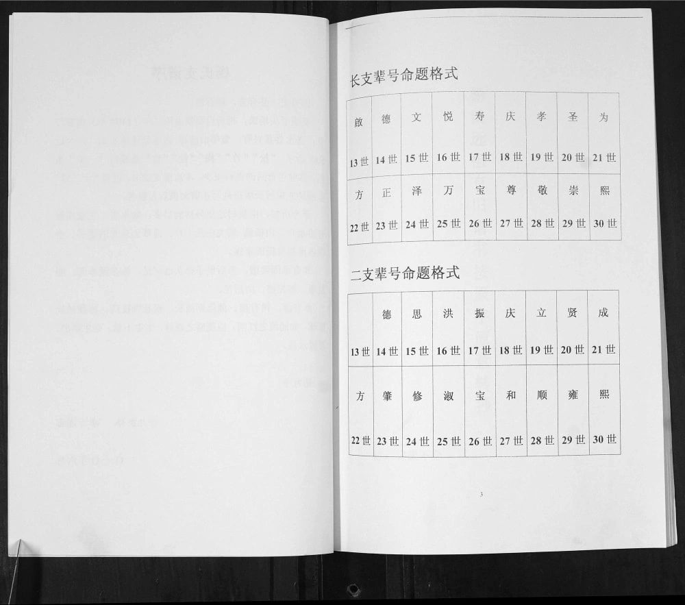 图片[3]-山东青岛即墨泉子头村杨氏近代族谱电子版PDF下载-中华家谱网