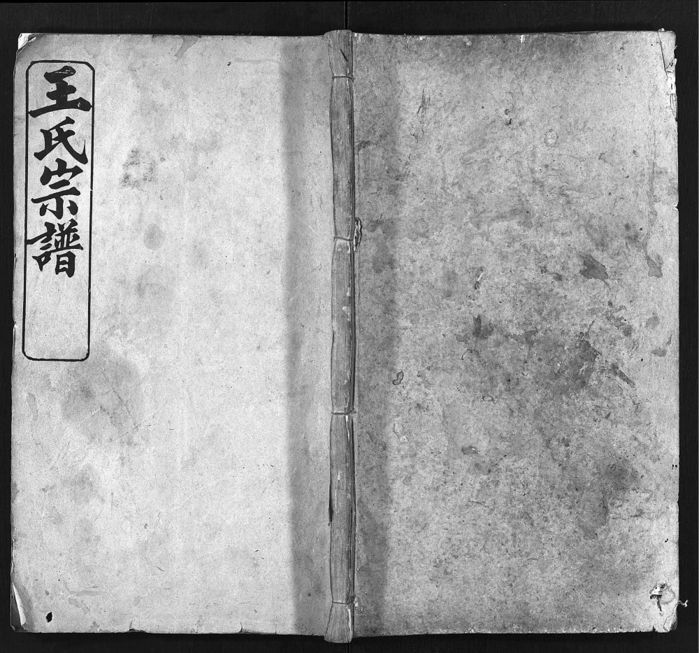 图片[1]-湖北黄冈王氏宗谱（三槐堂）电子版PDF下载-中华家谱网