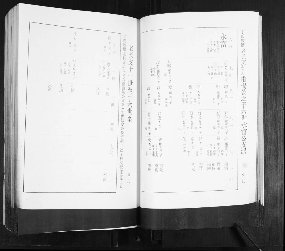 图片[8]-山东莱阳团旺丁氏族谱电子版PDF下载-中华家谱网