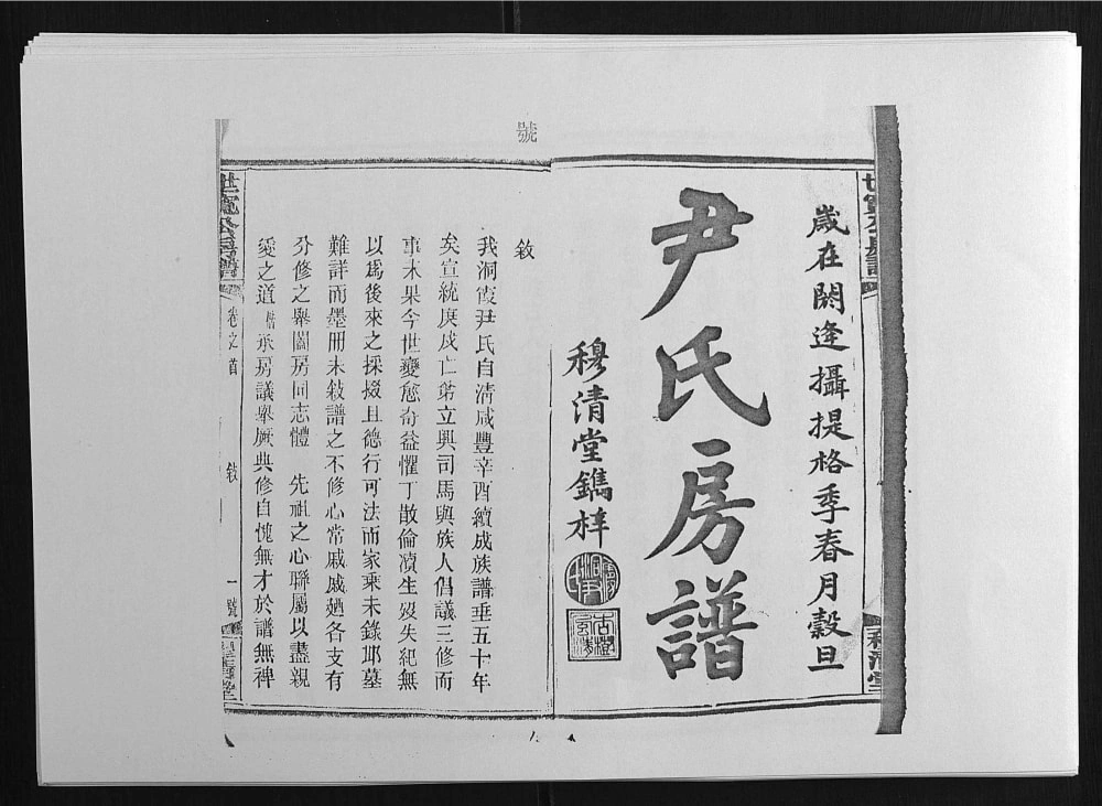 图片[2]-湖南邵阳邵东县洞霞尹氏宽公房谱（穆清堂）电子版PDF下载-中华家谱网