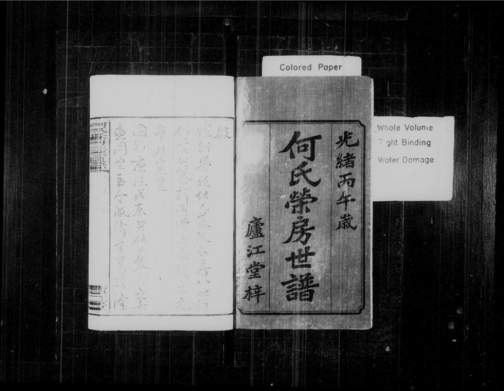 图片[2]-湖南湘乡城前何氏荣房三修世谱（庐江堂）电子版PDF下载-中华家谱网