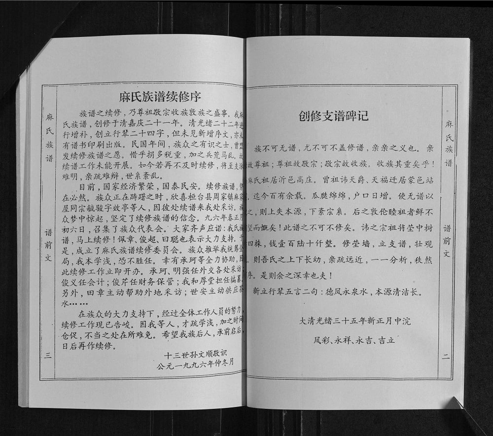 图片[3]-山东临沂沂南县麻氏族谱电子版PDF下载-中华家谱网
