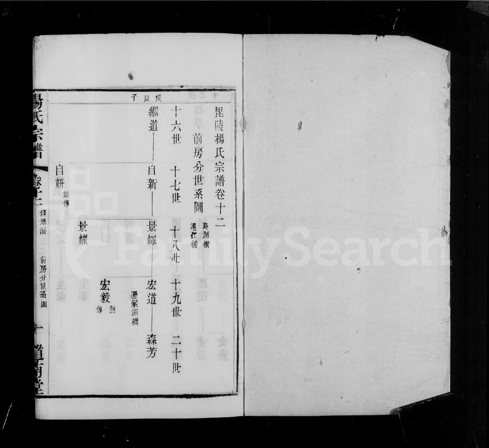 图片[8]-江苏常州武进区毘陵镇塘桥杨氏宗谱（道南堂）电子版PDF下载-中华家谱网
