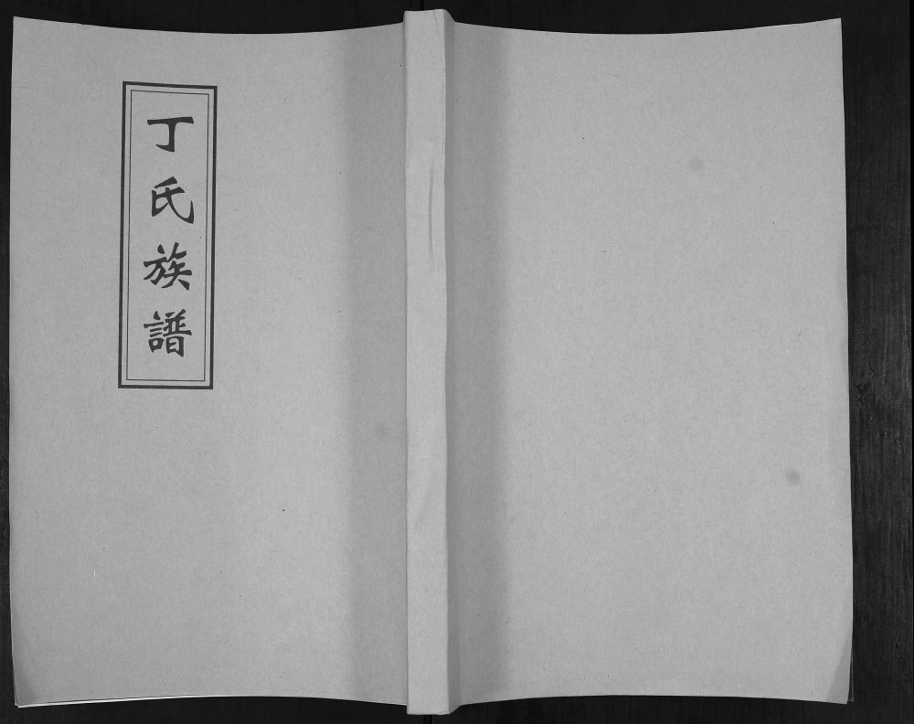 图片[1]-山东青岛即墨区丁氏族谱电子版PDF下载-中华家谱网