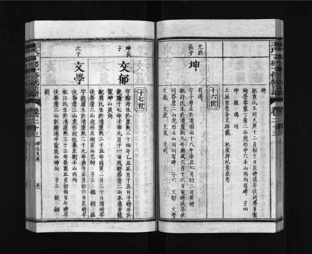 图片[7]-湖北黄冈罗田县东安王氏丁卯十修统宗谱电子版PDF下载-中华家谱网