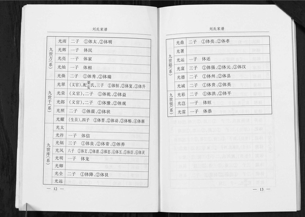 图片[6]-山西临汾乡宁县光华西坡刘氏家谱电子版PDF下载-中华家谱网