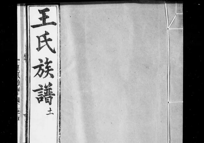 山东高密王氏族谱电子版PDF下载-中华家谱网