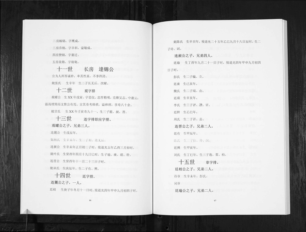 图片[3]-四川隆昌蓝氏家谱电子版PDF下载-中华家谱网