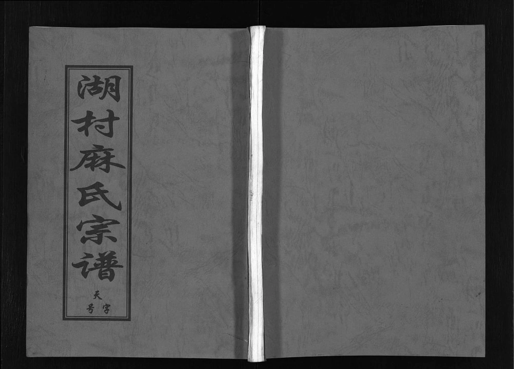 图片[1]-浙江东阳湖村麻氏宗谱电子版PDF下载-中华家谱网