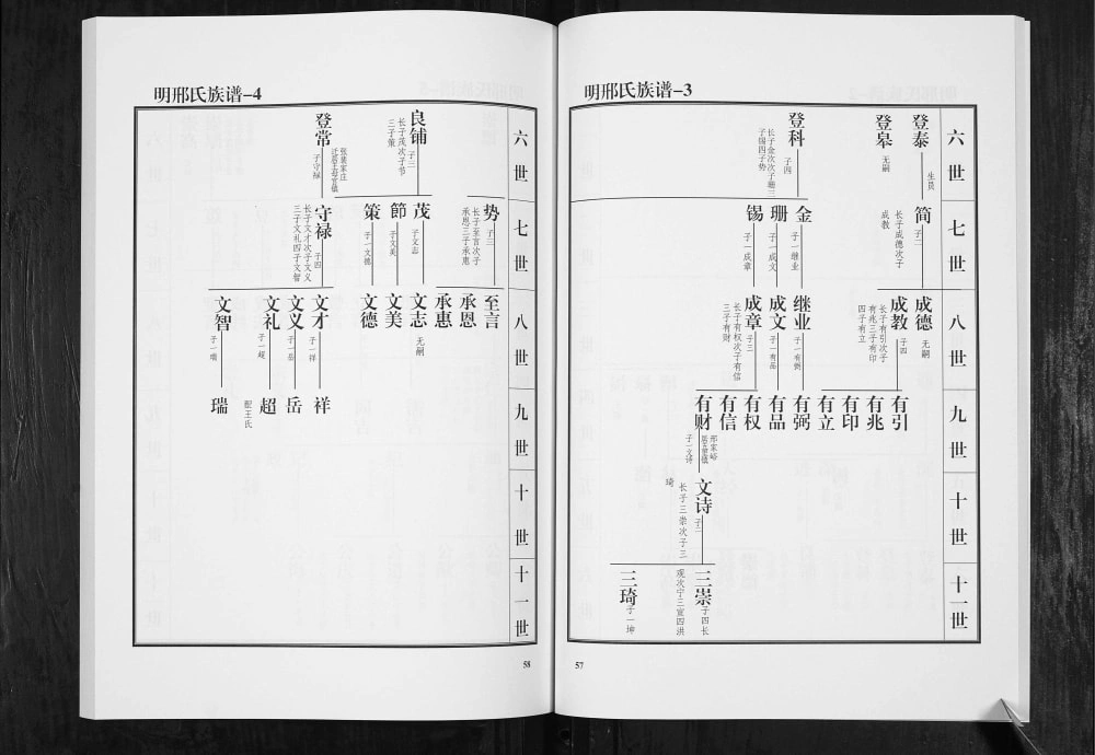 图片[5]-山东青州邢氏族谱电子版PDF下载-中华家谱网
