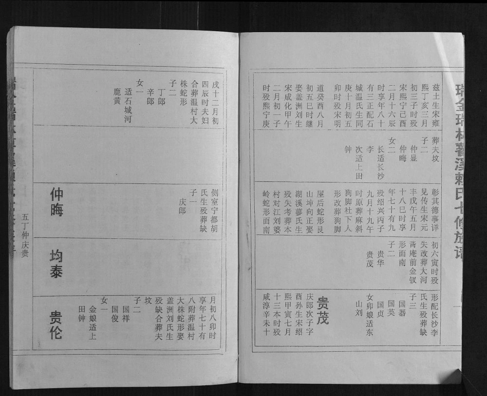 图片[4]-江西瑞金瑞林蓼溪赖氏七修族谱电子版PDF下载-中华家谱网