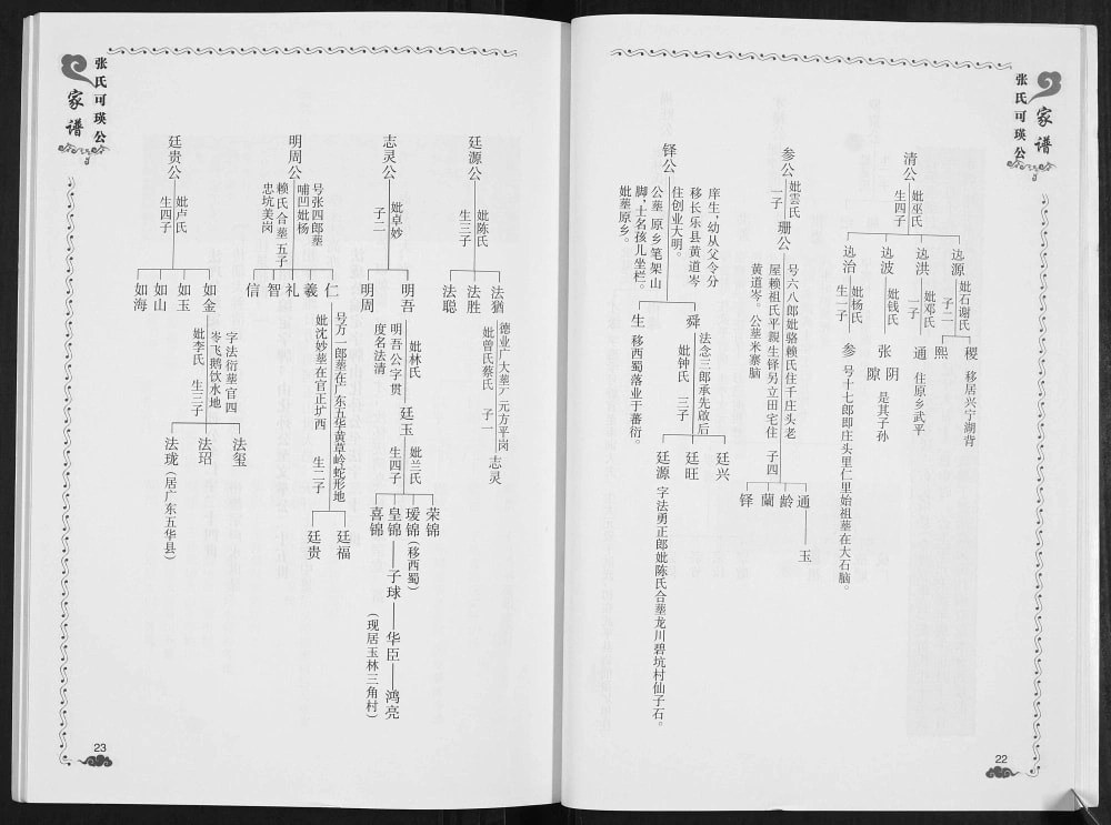 图片[5]-广西南宁宾阳县张氏可瑛公家谱电子版PDF下载-中华家谱网