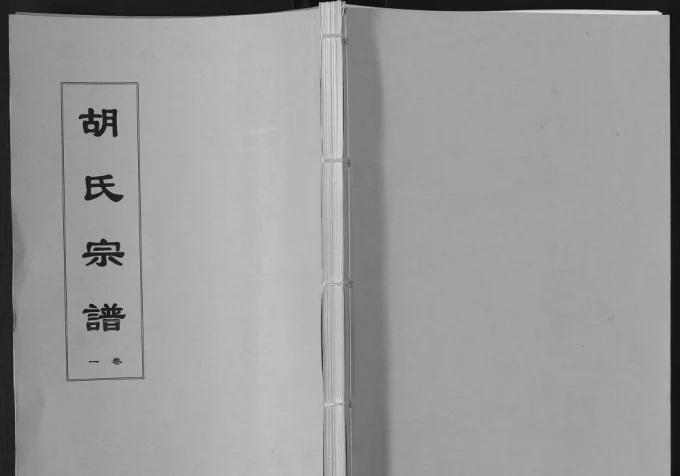 安徽六安舒城县胡氏宗谱(忠德堂)电子版PDF下载-中华家谱网