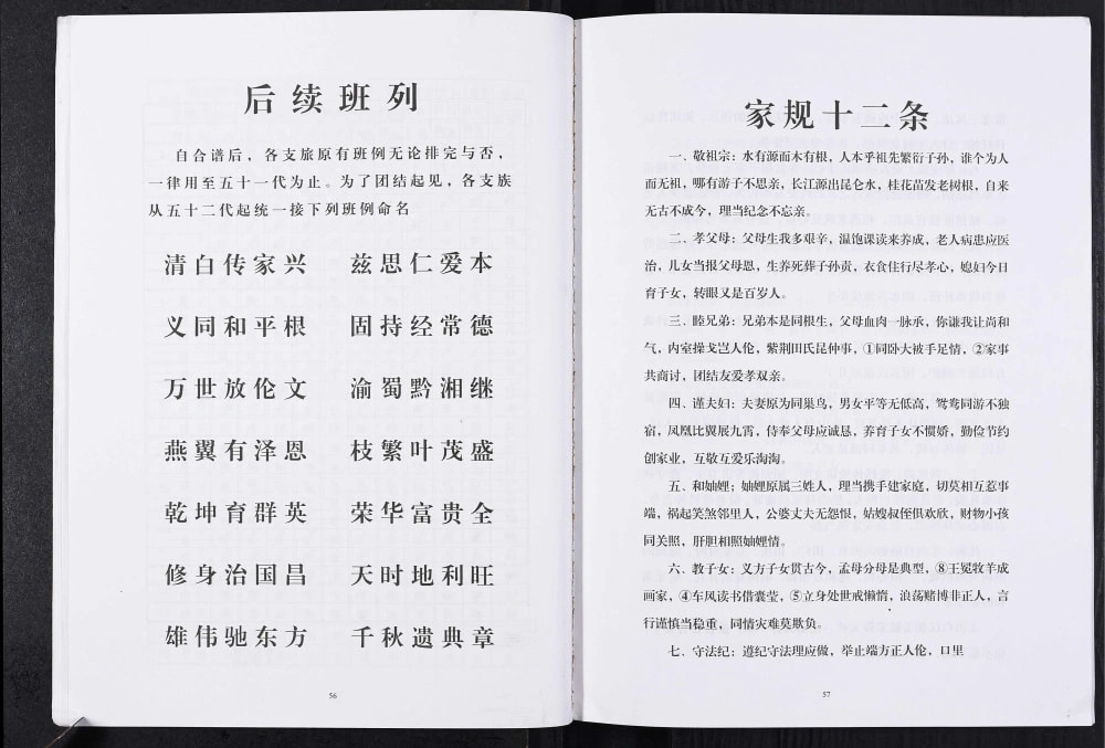 图片[3]-重庆铜梁区马氏宗谱电子版PDF下载-中华家谱网