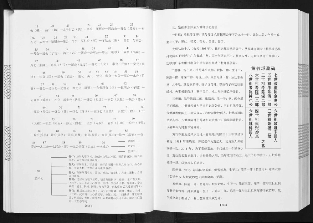 图片[5]-广西北海合浦县豪沃村回眸九塘下村今昔陈氏族谱电子版PDF下载-中华家谱网