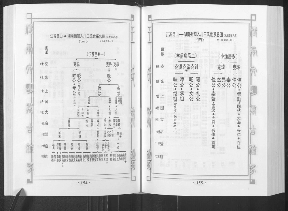 图片[5]-四川南充仪陇县王氏族谱湖南徙川王氏良才公良益公后裔篇电子版PDF下载-中华家谱网