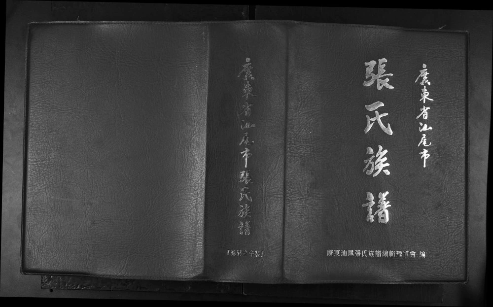 图片[1]-广东汕尾市张氏族谱电子版PDF下载-中华家谱网